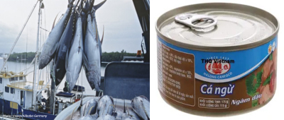 Vietnam&rsquo;s tuna exports to Germany increased continuously in the first 2 months of 2023